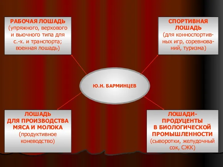 Ю.Н. БАРМИНЦЕВ Ю.Н. БАРМИНЦЕВ СПОРТИВНАЯ ЛОШАДЬ (для конноспортив-ных игр, соревнова-ний,