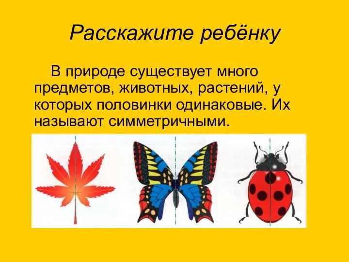 Расскажите ребёнку В природе существует много предметов, животных, растений, у которых половинки одинаковые. Их называют симметричными.