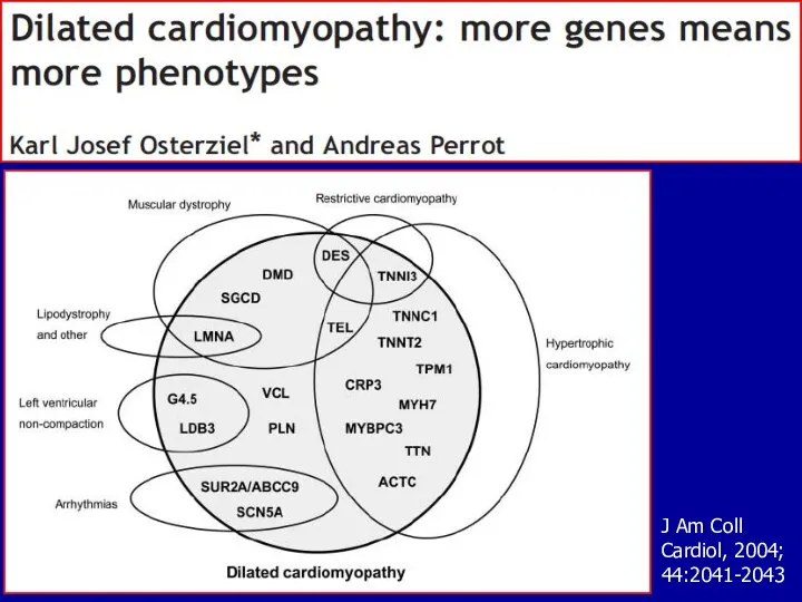 J Am Coll Cardiol, 2004; 44:2041-2043