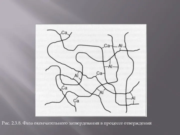 Рис. 2.3.8. Фаза окончательного затвердевания в процессе отверждения