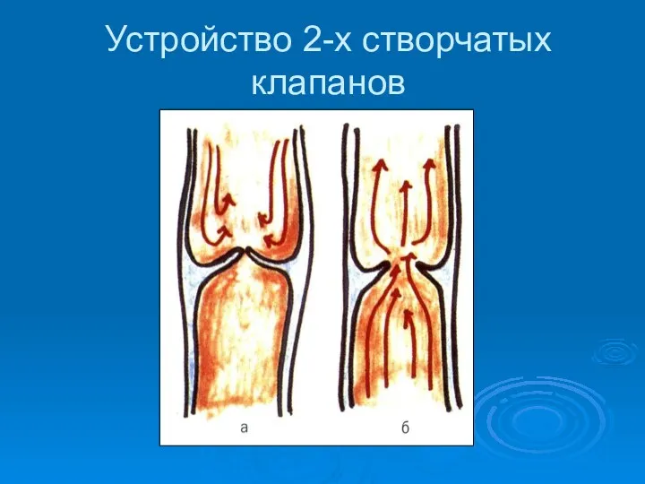 Устройство 2-х створчатых клапанов