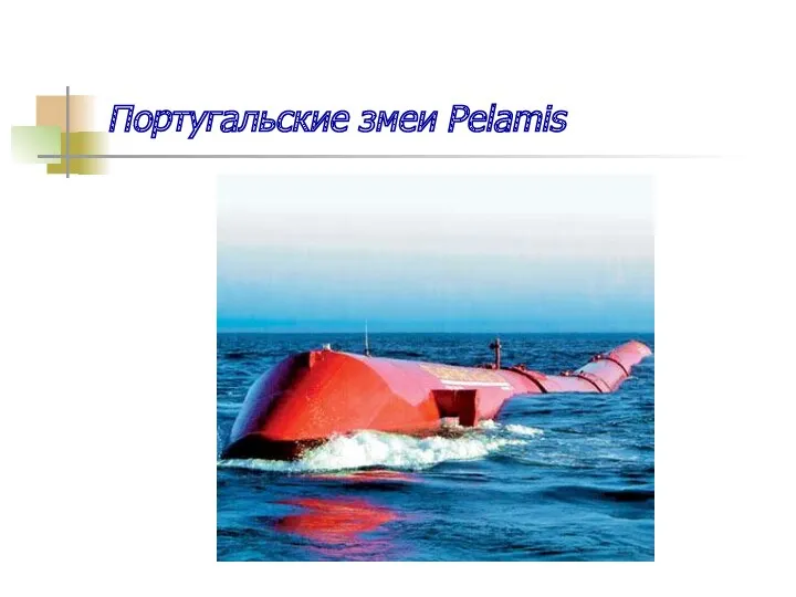 Португальские змеи Pelamis