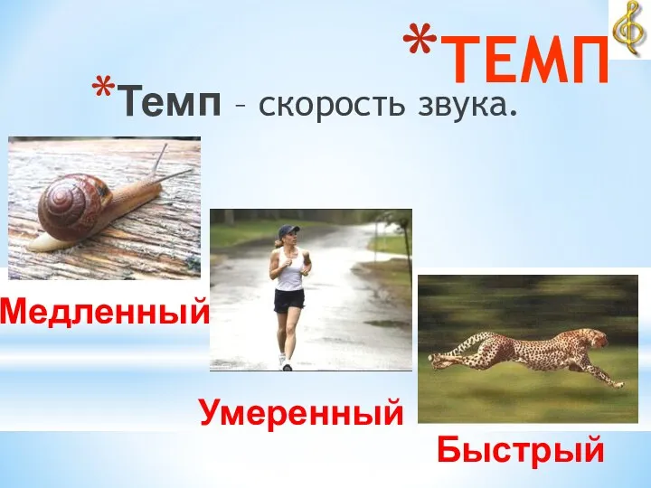 ТЕМП Темп – скорость звука. Умеренный Медленный Быстрый