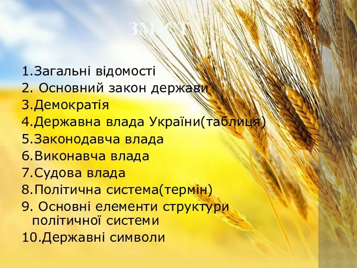 1.Загальні відомості 2. Основний закон держави 3.Демократія 4.Державна влада України(таблиця)