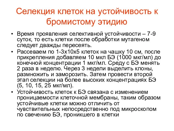 Селекция клеток на устойчивость к бромистому этидию Время проявления селективной устойчивости – 7-9