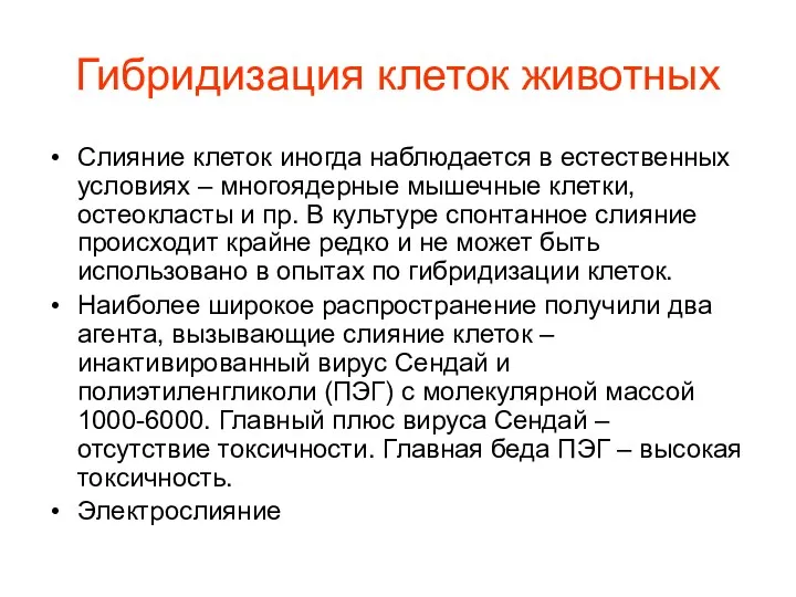 Гибридизация клеток животных Слияние клеток иногда наблюдается в естественных условиях