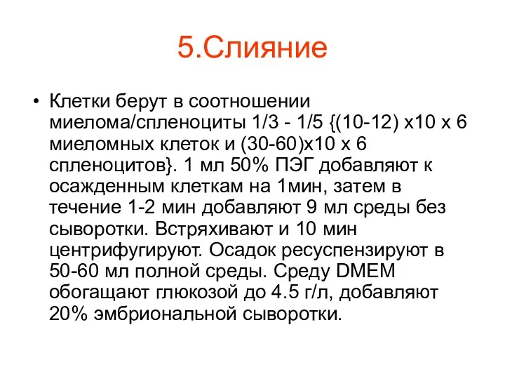 5.Слияние Клетки берут в соотношении миелома/спленоциты 1/3 - 1/5 {(10-12) х10 х 6