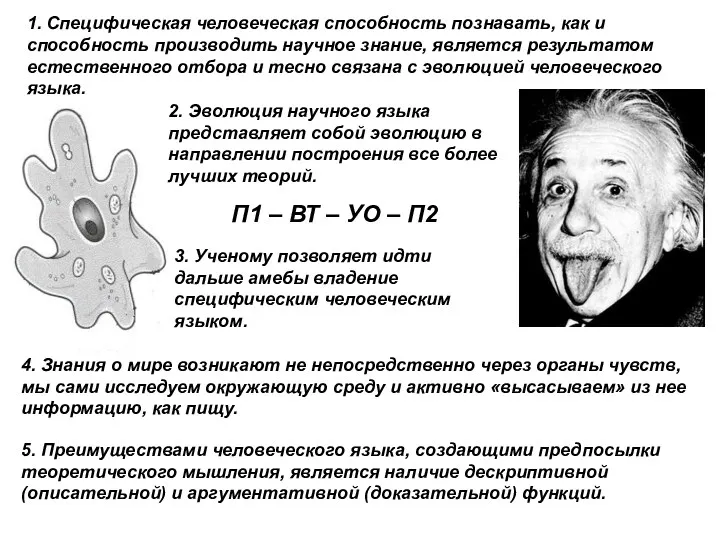 П1 – ВТ – УО – П2 1. Специфическая человеческая