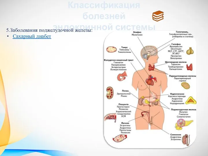 Классификация болезней эндокринной системы 5.Заболевания поджелудочной железы: Сахарный диабет
