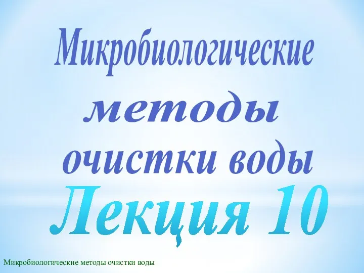 Сера как основной элемент питания микроорганизмов