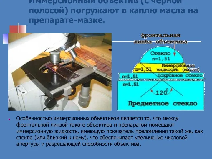 Иммерсионный объектив (с чёрной полосой) погружают в каплю масла на