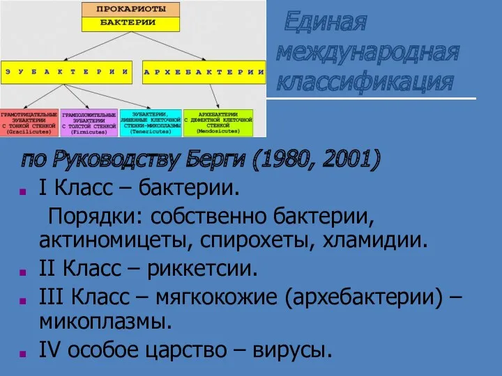 Единая международная классификация по Руководству Берги (1980, 2001) I Класс