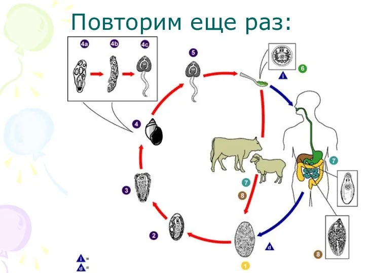 Повторим еще раз: