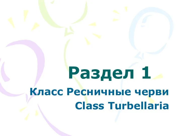 Раздел 1 Класс Ресничные черви Class Turbellaria