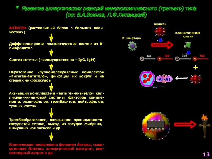 * Развитие аллергических реакций иммунокомплексного (третьего) типа (по: В.А.Воинов, П.Ф.Литвицкий) АНТИГЕН (растворимый белок