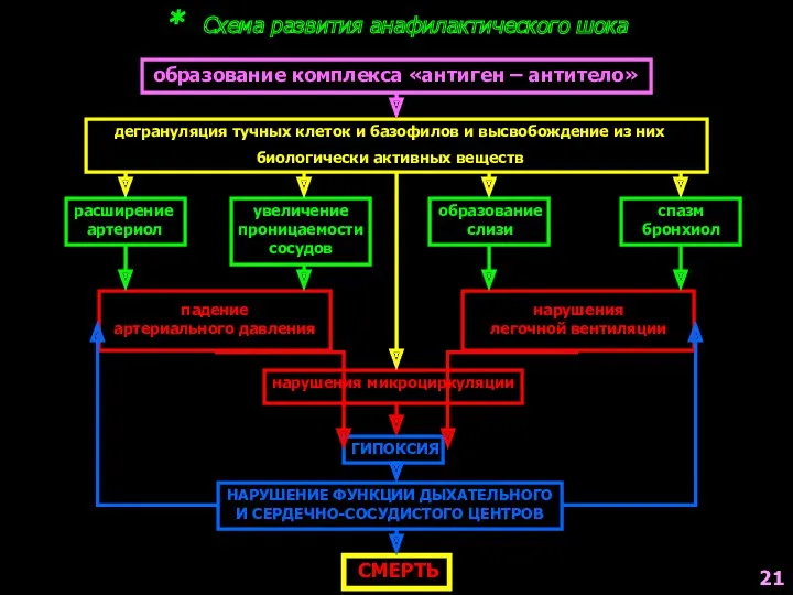 * Схема развития анафилактического шока дегрануляция тучных клеток и базофилов