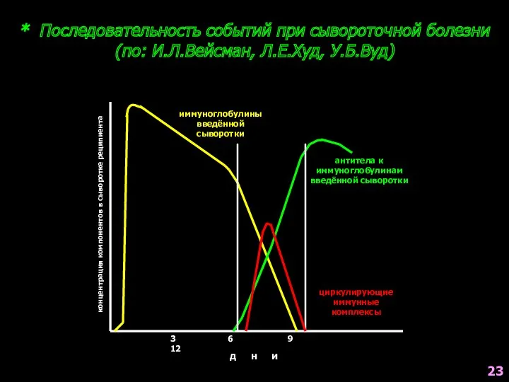 * Последовательность событий при сывороточной болезни (по: И.Л.Вейсман, Л.Е.Худ, У.Б.Вуд) концентрация компонентов в