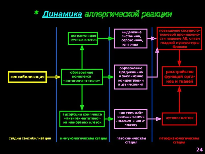 * Динамика аллергической реакции сенсибилизация стадия сенсибилизации образование комплекса «антиген-антитело»