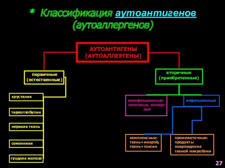 * Классификация аутоантигенов (аутоаллергенов) АУТОАНТИГЕНЫ (АУТОАЛЛЕРГЕНЫ) первичные (естественные) вторичные (приобретенные)