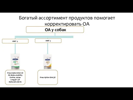 Богатый ассортимент продуктов помогает корректировать ОА ИМТ 3 OA у собак Prescription Diet