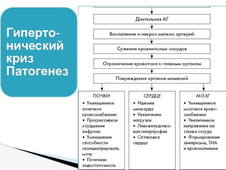 Гиперто-нический криз Патогенез