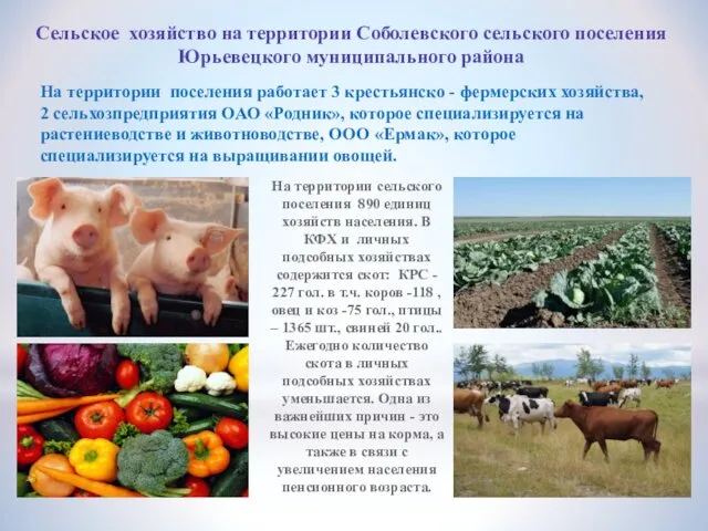 Сельское хозяйство на территории Соболевского сельского поселения Юрьевецкого муниципального района