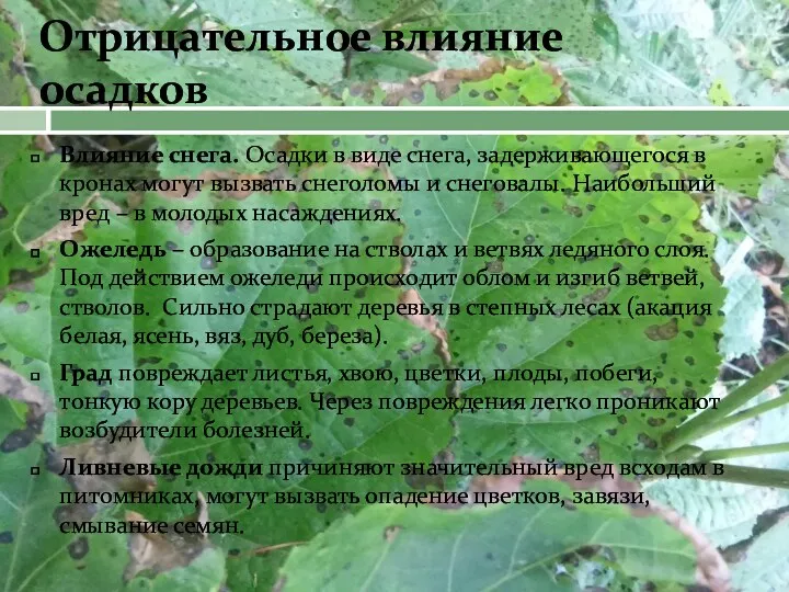 Отрицательное влияние осадков Влияние снега. Осадки в виде снега, задерживающегося