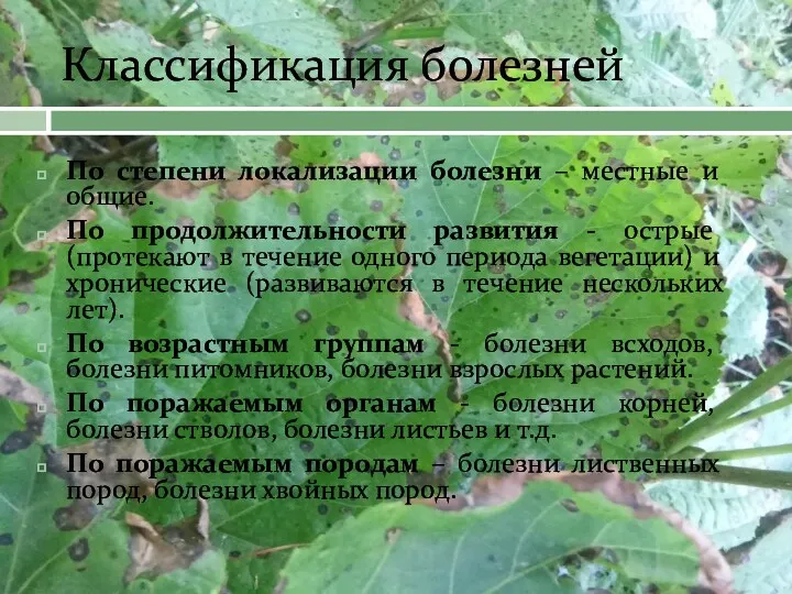 Классификация болезней По степени локализации болезни – местные и общие.