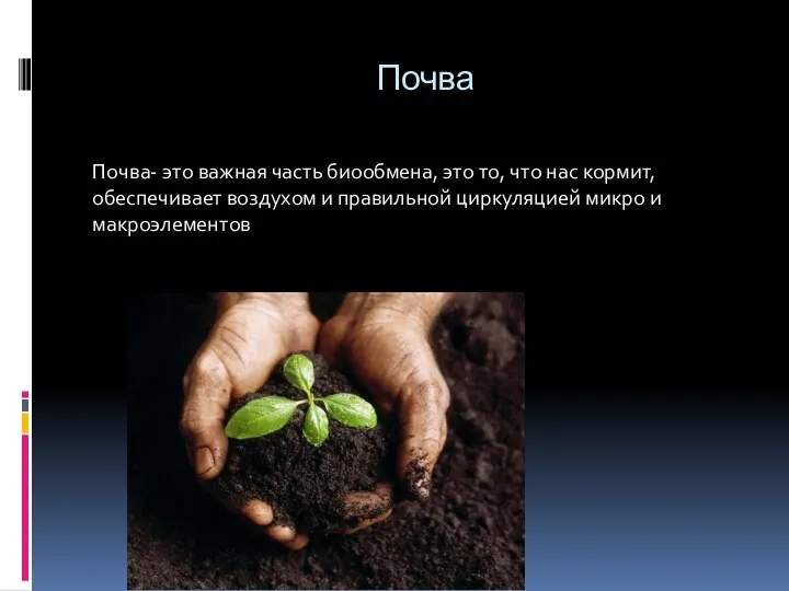 Почва Почва- это важная часть биообмена, это то, что нас
