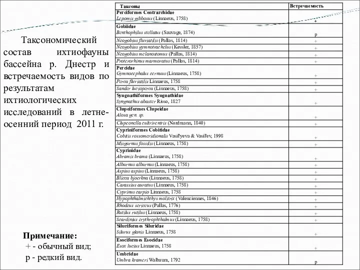 Примечание: + - обычный вид; р - редкий вид. Таксономический