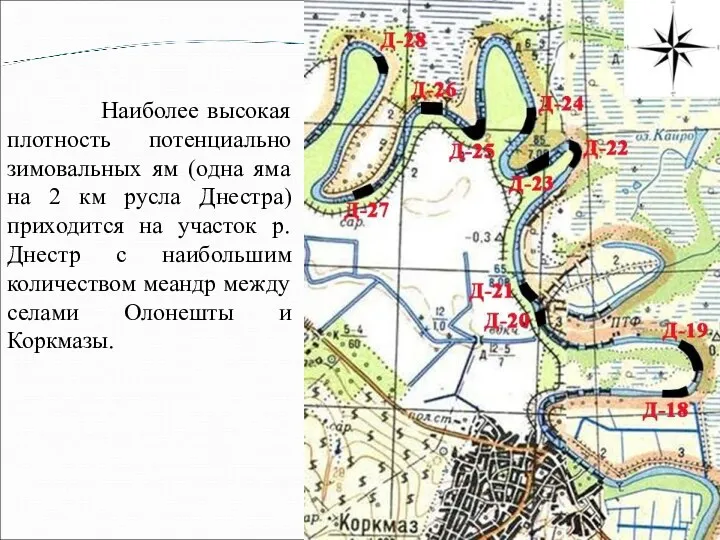 Наиболее высокая плотность потенциально зимовальных ям (одна яма на 2