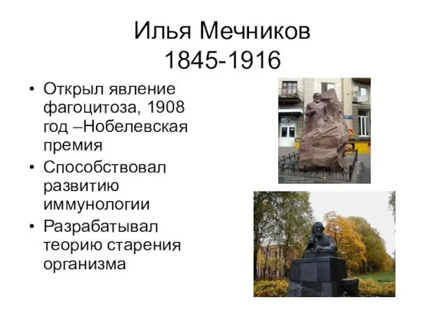 Илья Мечников 1845-1916 Открыл явление фагоцитоза, 1908 год –Нобелевская премия Способствовал развитию иммунологии