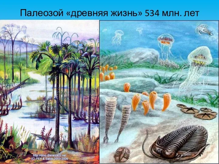 Палеозой «древняя жизнь» 534 млн. лет