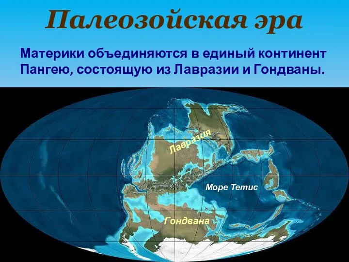 Палеозойская эра Материки объединяются в единый континент Пангею, состоящую из Лавразии и Гондваны.
