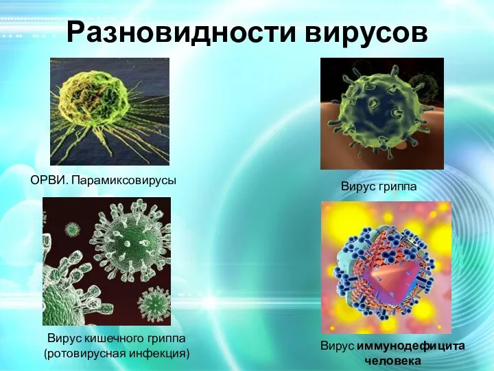 Разновидности вирусов Вирус кишечного гриппа (ротовирусная инфекция) Вирус гриппа ОРВИ. Парамиксовирусы Вирус иммунодефицита человека