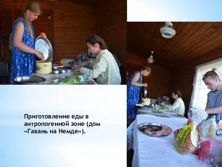 Приготовление еды в антропогенной зоне (дом «Гавань на Немде»).