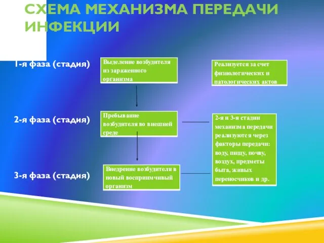 СХЕМА МЕХАНИЗМА ПЕРЕДАЧИ ИНФЕКЦИИ 1-я фаза (стадия) 2-я фаза (стадия) 3-я фаза (стадия)