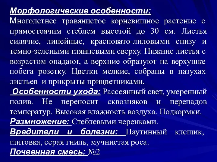 Морфологические особенности: Многолетнее травянистое корневищное растение с прямостоячим стеблем высотой