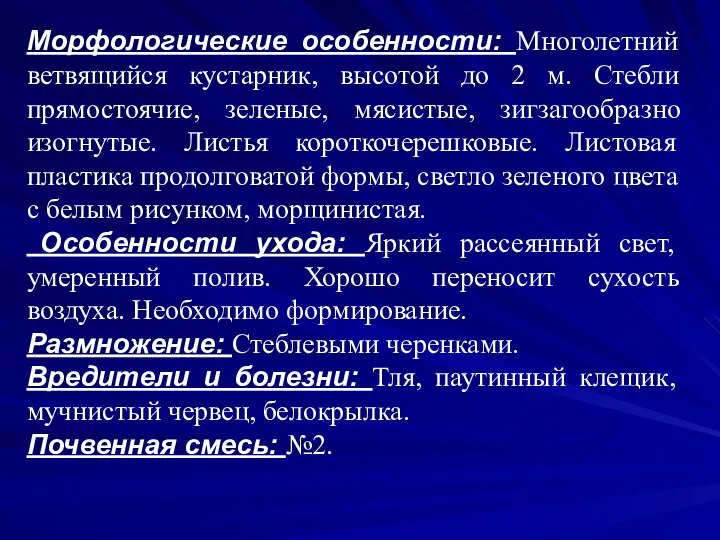 Морфологические особенности: Многолетний ветвящийся кустарник, высотой до 2 м. Стебли