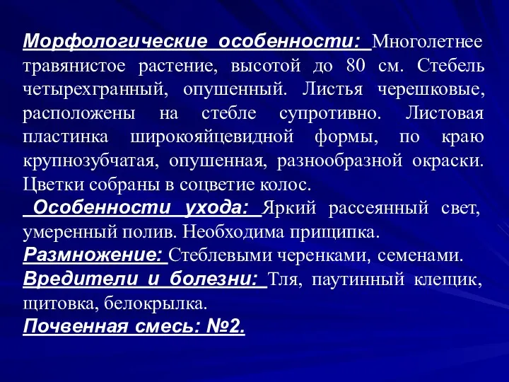 Морфологические особенности: Многолетнее травянистое растение, высотой до 80 см. Стебель