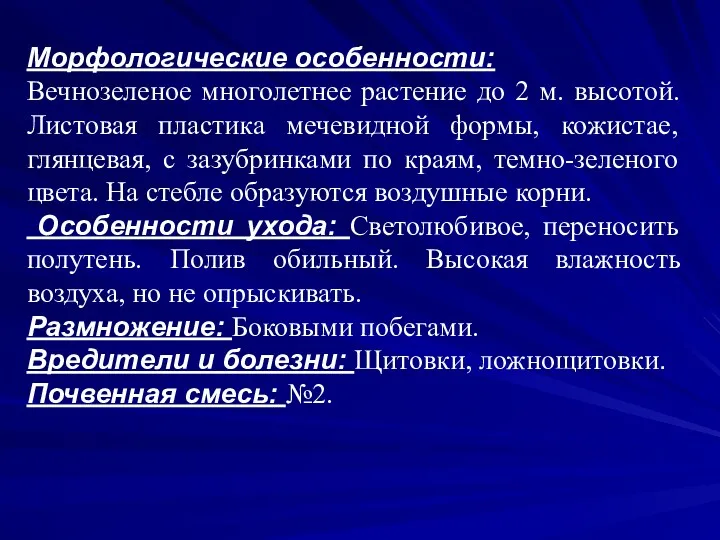 Морфологические особенности: Вечнозеленое многолетнее растение до 2 м. высотой. Листовая