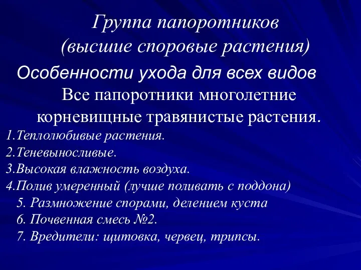 Группа папоротников (высшие споровые растения) Особенности ухода для всех видов