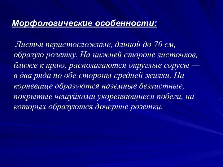 Морфологические особенности: Листья перистосложные, длиной до 70 см, образую розетку.