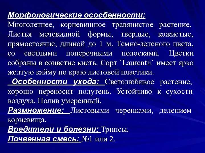 Морфологические ососбенности: Многолетнее, корневищное травянистое растение. Листья мечевидной формы, твердые,