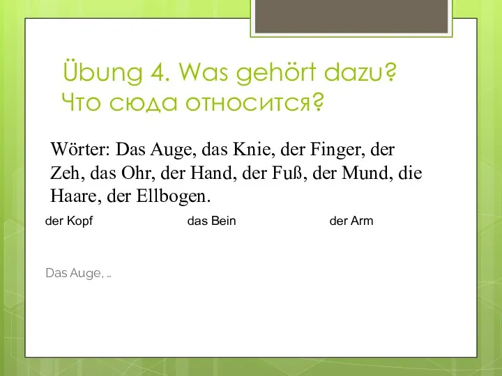 Übung 4. Was gehört dazu? Что сюда относится? Wörter: Das Auge, das Knie,