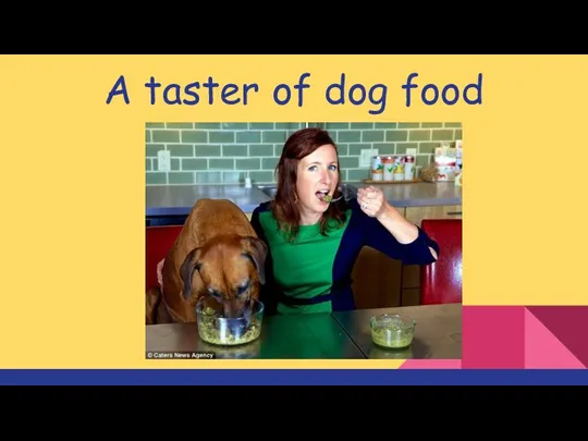 A taster of dog food