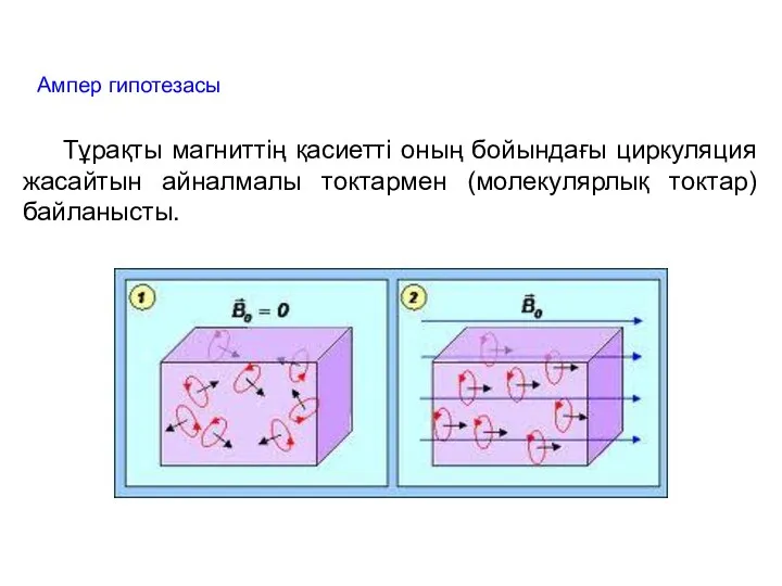 Ампер гипотезасы Тұрақты магниттің қасиетті оның бойындағы циркуляция жасайтын айналмалы токтармен (молекулярлық токтар) байланысты.