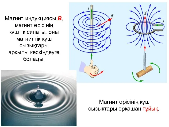 Магнит индукциясы В, магнит өрісінің күштік сипаты, оны магниттік күш