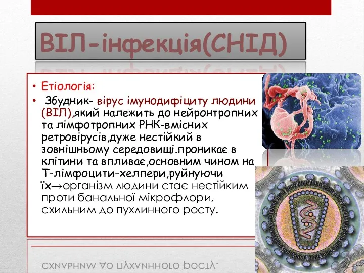 ВІЛ-інфекція(СНІД) Етіологія: Збудник- вірус імунодифіциту людини(ВІЛ),який належить до нейронтропних та