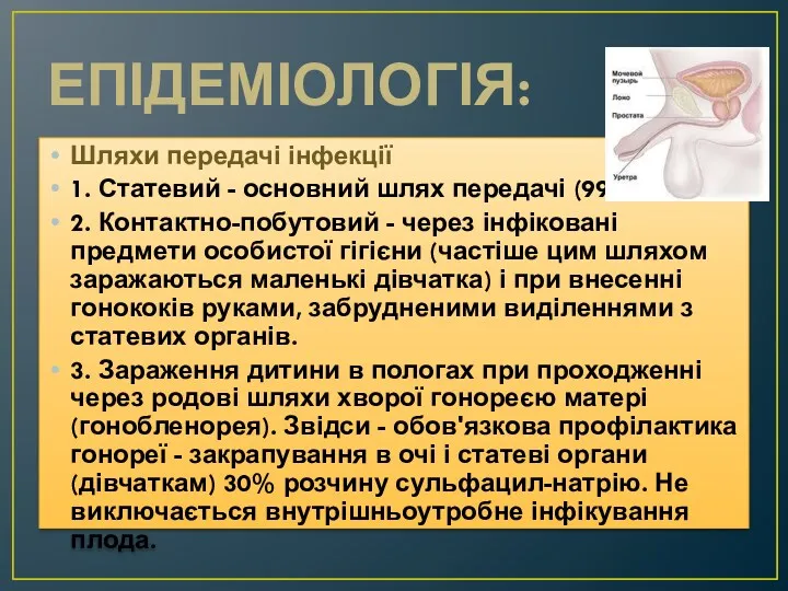 ЕПІДЕМІОЛОГІЯ: Шляхи передачі інфекції 1. Статевий - основний шлях передачі